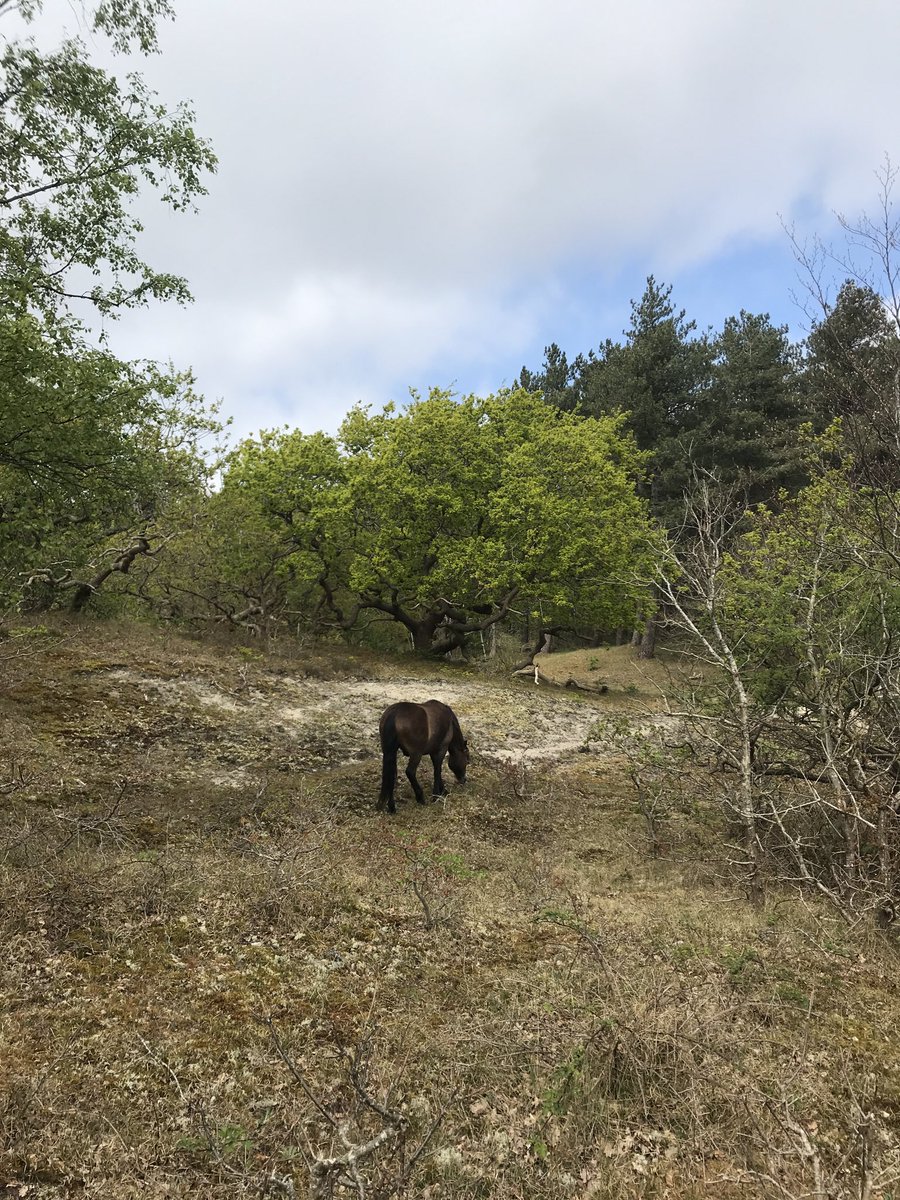 GodfriedC's tweet image. Onderweg....