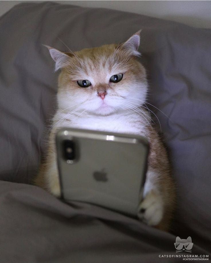 PAZZESK4's tweet photo. Io alle tre di.                   Io alle tre di 
Pomeriggio :                         notte: https://t.co/KBMl5hARbA