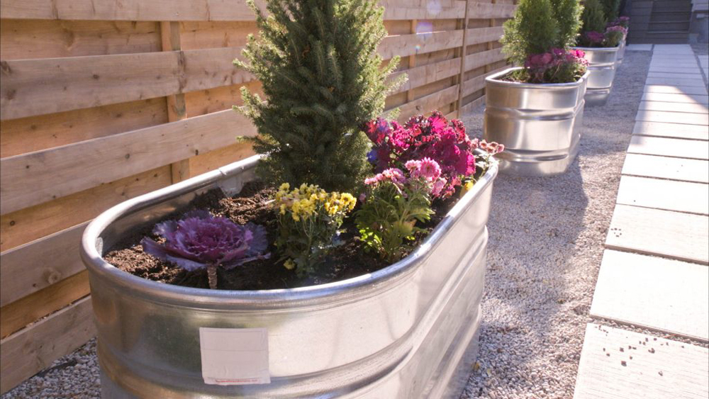 teamhaig's tweet photo. Update Your Outdoor Space on a Budget
Courtesy of HGTV

3.Plants – from vegetable gardens to wild flowers, there are plenty of options for a make over. Try a vertical garden https://t.co/ClbrerPfCn