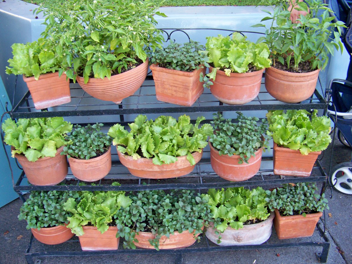 teamhaig's tweet photo. Update Your Outdoor Space on a Budget
Courtesy of HGTV

3.Plants – from vegetable gardens to wild flowers, there are plenty of options for a make over. Try a vertical garden https://t.co/ClbrerPfCn