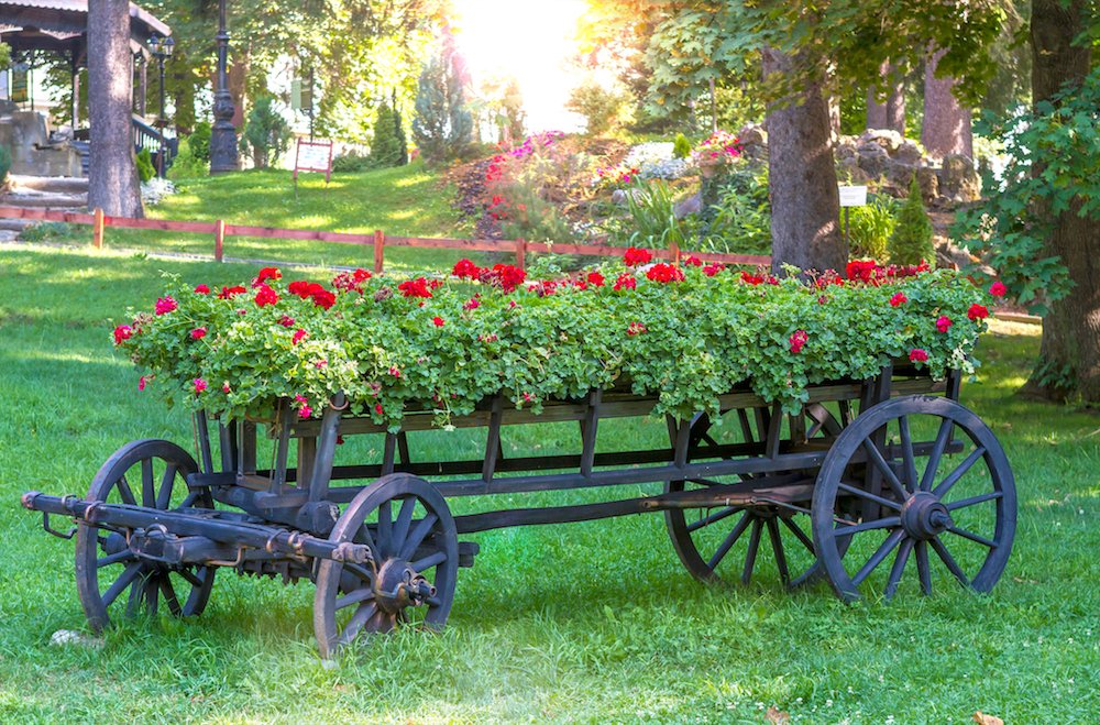 teamhaig's tweet photo. Update Your Outdoor Space on a Budget
Courtesy of HGTV

3.Plants – from vegetable gardens to wild flowers, there are plenty of options for a make over. Try a vertical garden https://t.co/ClbrerPfCn