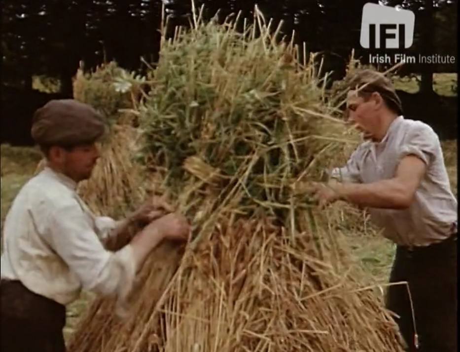 Irish Film Institute (@ifi_dub) on Twitter photo Explore antiquated harvesting methods used in remote areas of Ireland on the #IFIPlayer <a href="/HeritageHubIRE/">The Heritage Council</a>
ifiplayer.ie/desmond-egan-c⦠Explore antiquated harvesting methods used in remote areas of Ireland on the #IFIPlayer <a href="/HeritageHubIRE/">The Heritage Council</a>
ifiplayer.ie/desmond-egan-cā¦
