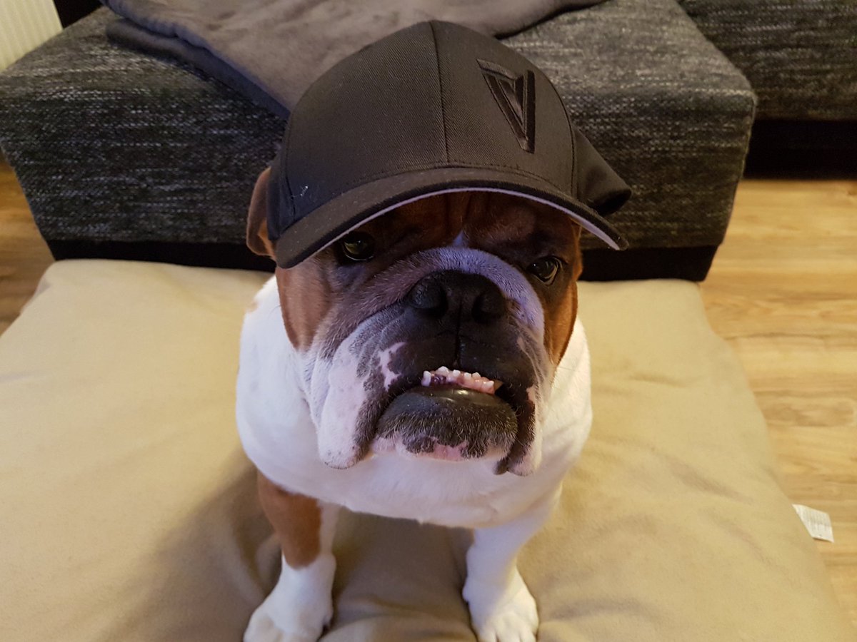 Holger_rules tweet media