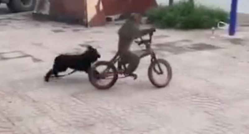 Darren Trek tweet media