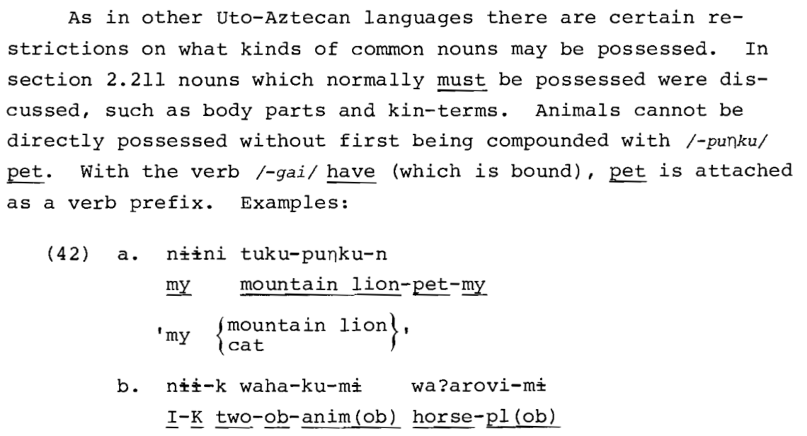 stipulative's tweet photo. In order to directly possess animals in Chemehuevi, you have to say that the animal is a pet (Press 1979:66). #lingdata #lingex #linguisticexample #linguistics https://t.co/YVHMQZmjyq
