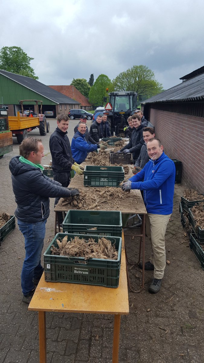 StefHoitink's tweet photo. Vandaag de #dahlia bolletjes de grond in. Alles op 1,5m afstand.
#Festunique
#Beltrum
#DeToekomst
#TeamWork
Fantaseren over 1,5m
#kermis
#6september2020
#jemoettochwat https://t.co/GG4EpFWuSq
