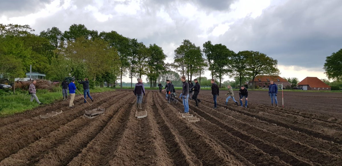 StefHoitink's tweet photo. Vandaag de #dahlia bolletjes de grond in. Alles op 1,5m afstand.
#Festunique
#Beltrum
#DeToekomst
#TeamWork
Fantaseren over 1,5m
#kermis
#6september2020
#jemoettochwat https://t.co/GG4EpFWuSq