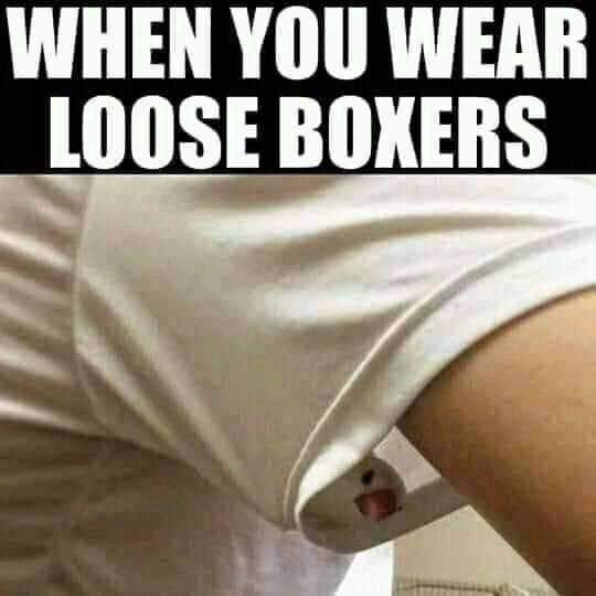 JohannVWagen's tweet photo. #birdout #southafricanbird #nicehead #boxershort https://t.co/TMnlYv9GPy