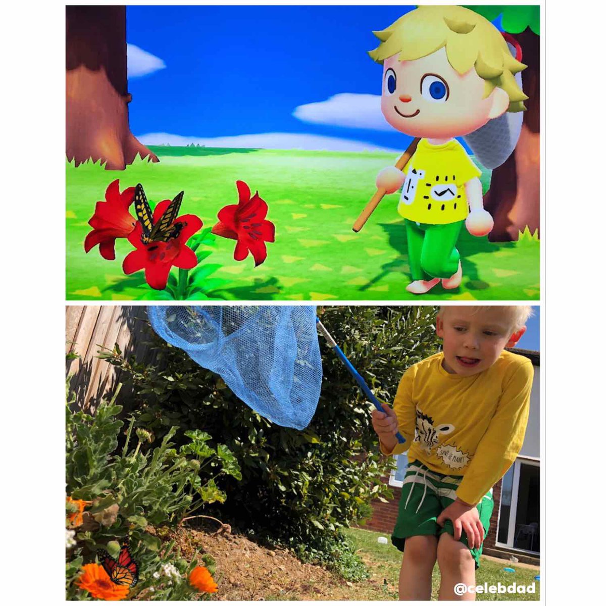 AbsoluteDadness's tweet photo. My son and I love playing animal crossing together and whilst stuck in lockdown he came up with the brilliant idea of recreating it in real life! So we did! My son is only 4 and said he hopes people all over the world see the pics. Can we make that happen?!? #animalcrossing https://t.co/k1G4NiE7jl