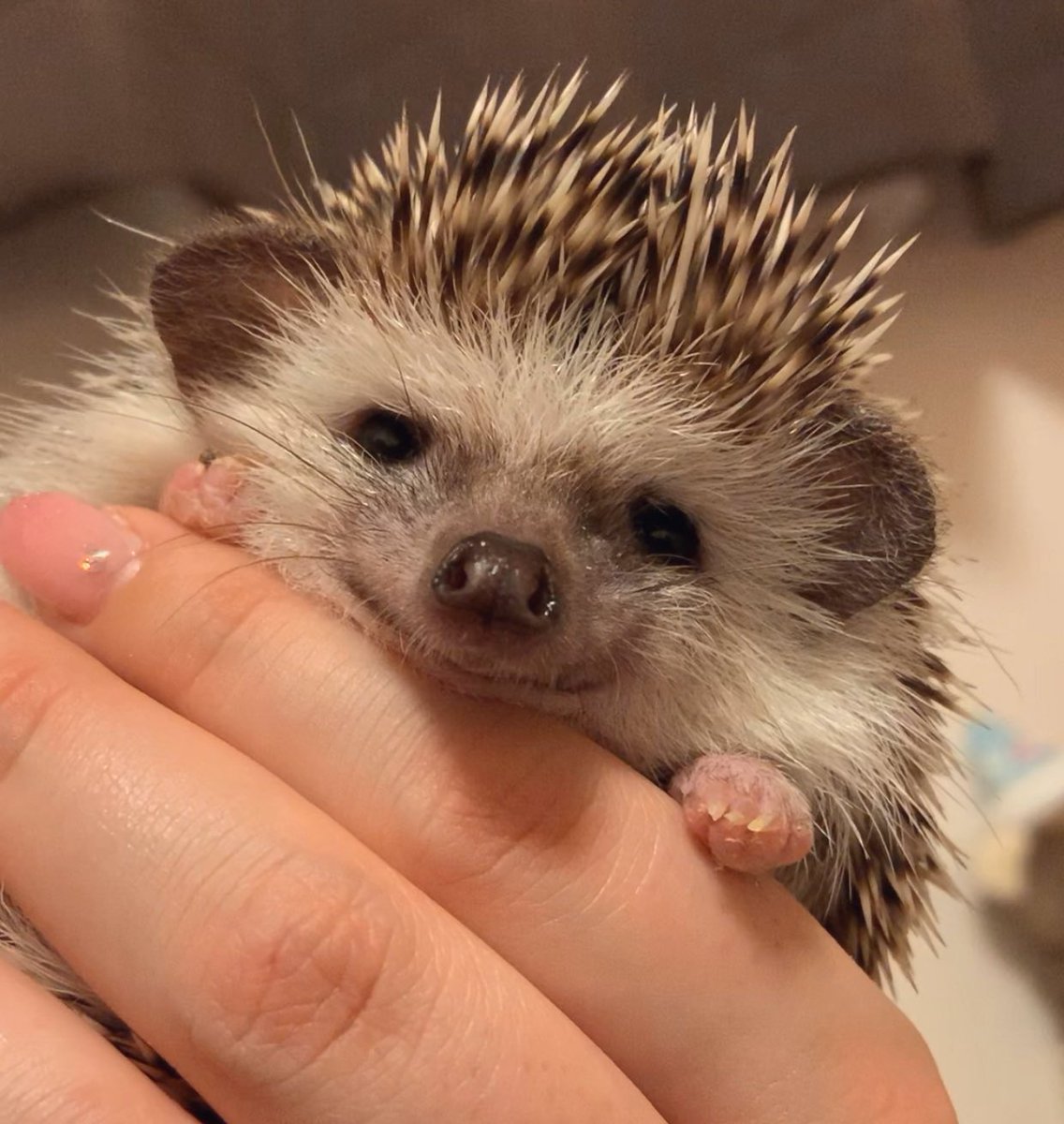 目がしょぼしょぼ