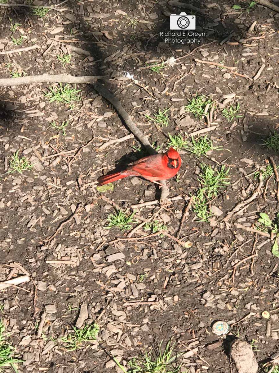 Lovely essential time #shotoftheday