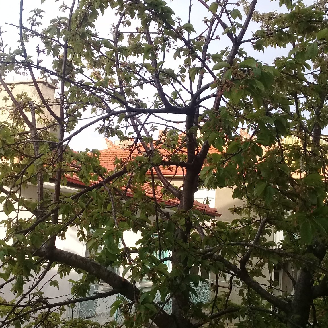 💗💓💗💓 AKSAM GÜNEŞ VE YAĞMUR 💗💓💖💞