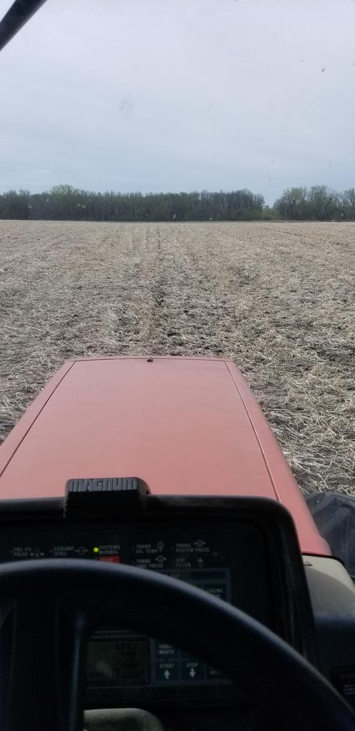 LarryCowing's tweet image. no tilling beans  into last year's prevent plant