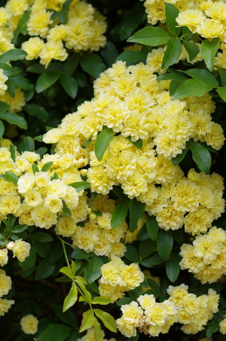 Rekhaa Tiwarii tweet media