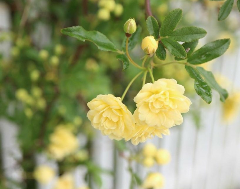 Rekhaa Tiwarii tweet media