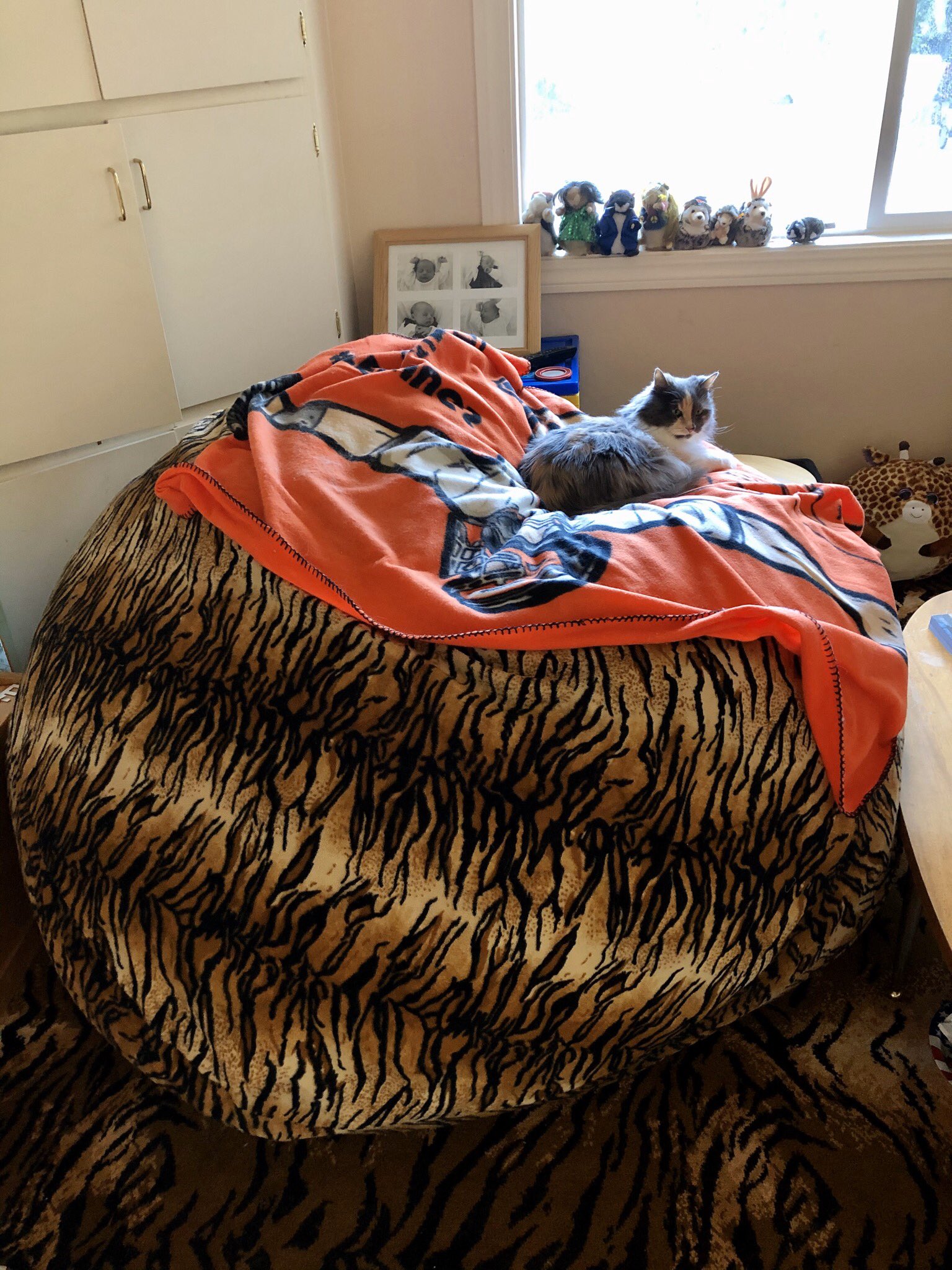 Ruby Zefo On Twitter Lil Cat Atop Big Ultimate Sack Covered With Sfgiants Buster Posey Hugs Blanket Missing Baseball Season Or Maybe The Latter Point Is Just Me Https Tco 8n1yh2ee5l Ruby Zefo On Twitter Lil Cat Atop Big Ultimate Sack Covered With Sfgiants Buster Posey Hugs Blanket Missing Baseball Season Or Maybe The Latter Point Is Just Me Https Tco 8n1yh2ee5l