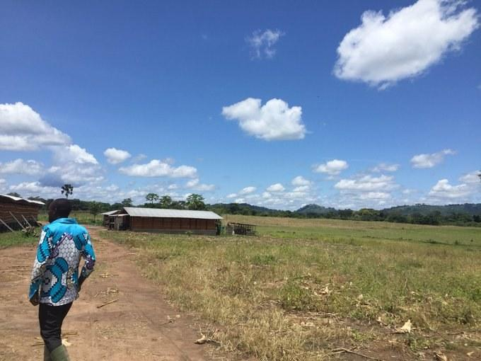 jeanluckabulu's tweet photo. Ce n’est pas seulement  aux States que le ciel est beau. En Afrique aussi le ciel est super beau. 
On a tous le même ciel, et les mêmes opportunités. 
Je dirai même que en Afrique on a plus d’opportunités que partout ailleurs dans le monde. 
 KABINDA, dans la province de Lomami https://t.co/igTmBVieol