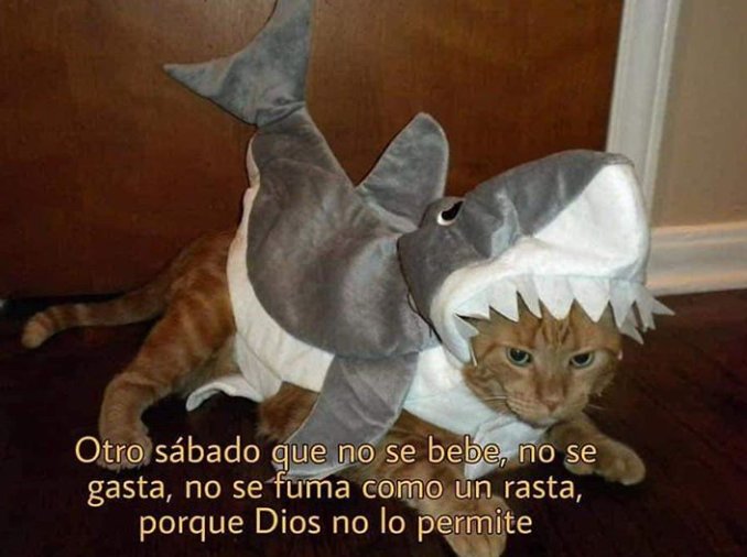 Tunazarre (@tunazarre) on Twitter photo 