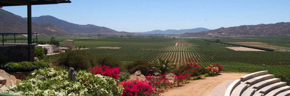 DiscoverMexico's tweet photo. 32 States of Mexico

📍Baja California Norte

☑️The main graveyard and wine production of Mexico takes places in Valle de Guadalupe of Baja California Norte.

#32StatesOfMexico #DiscoverMexicoPark #VisitMexico #TogetherAtHome #BajaCaliforniaNorte #BCN #Tijuana #ValleDeGuadalupe https://t.co/JQOH6QdLyc