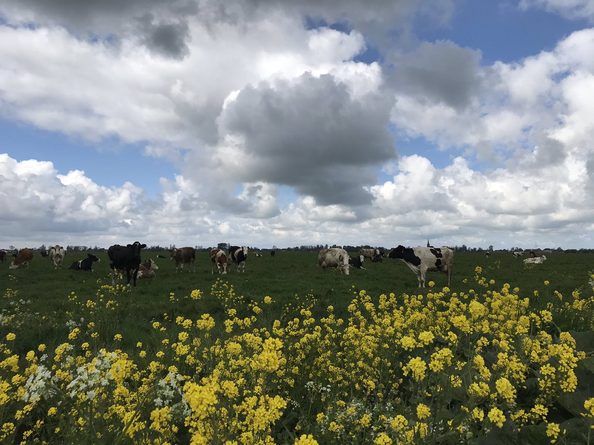 Marcel Hoving 😸 tweet media