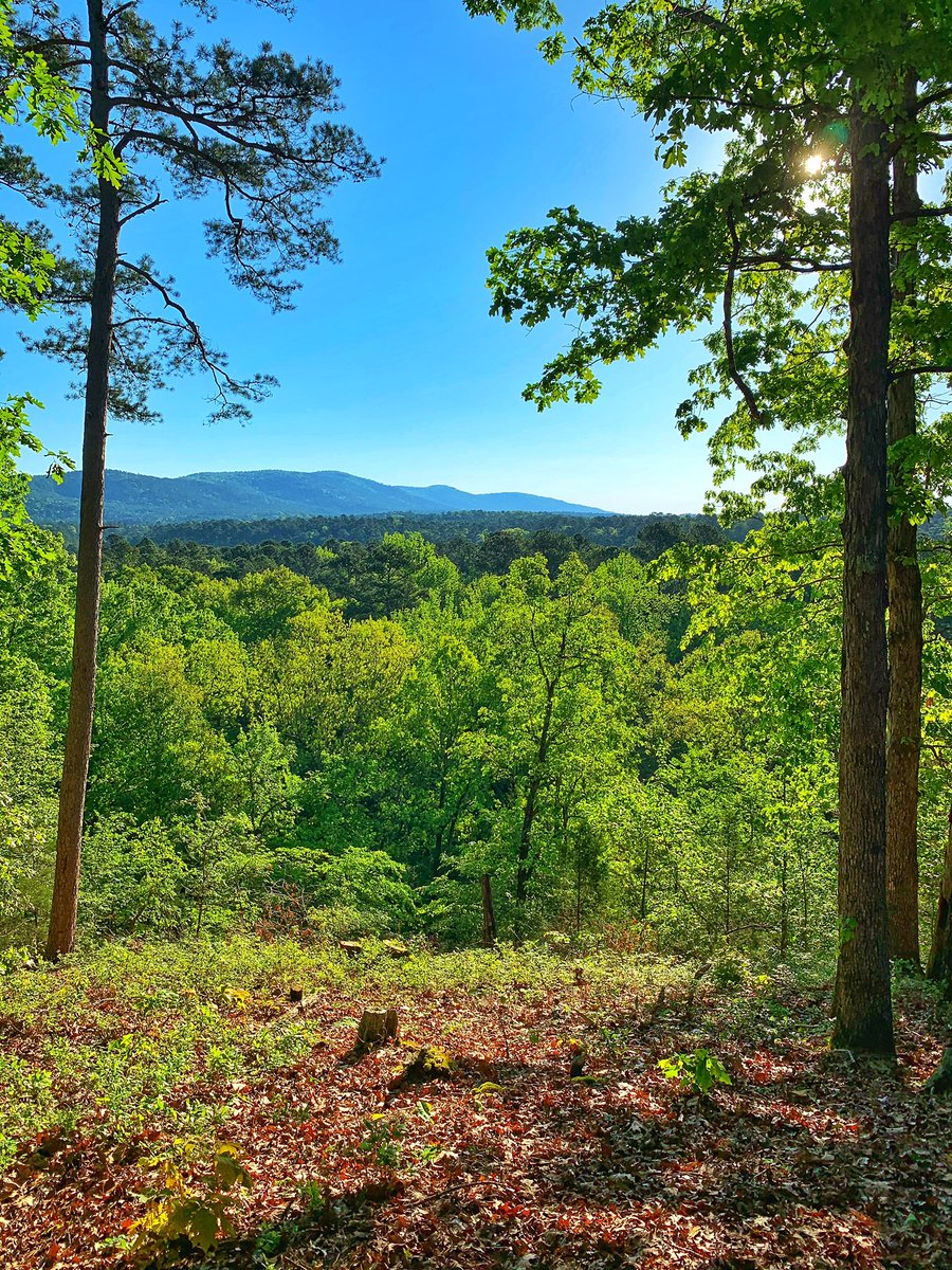 KenShaddox's tweet photo. Hiked a few days ago on the Ouachita Trail. Enjoyed stopping for a few minutes at Owens View. https://t.co/Caj0MMWx9q