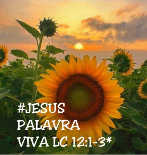 Jssica55272746's tweet photo. @Paulo97813048 @Rozane_Costa #PraSerFeliz #RpSp #HappyHour #EducadorEspiritoSanto #ConectadosComAPalavra #soupertençadEle #SouprimeirodELEAMOR #PrimeiroDeus #SemEleñéPossível #PraVivereSerFeliz #biblia #HappyHour #COVID__19 #Evangelho #AutoridadeDivina #SerFielaDeus https://t.co/39rcoGpgit