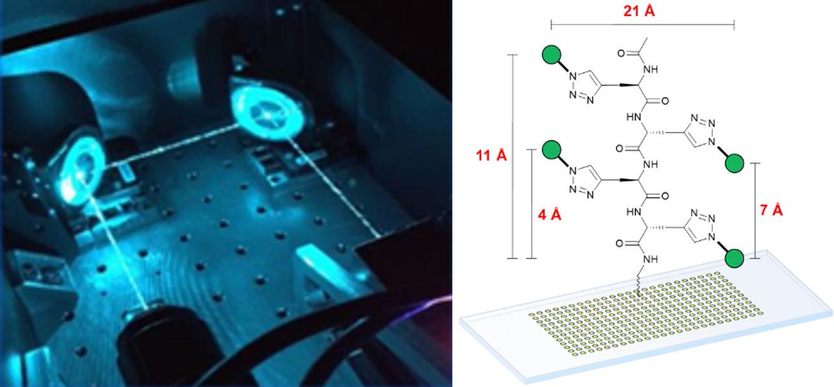 FelixLoeffler's tweet photo. Multivalent glycan presentation on #microarrays with our laser-based synthesis technology, now in @ChemEurJ. Thanks and congratulations to #SATgroup A. Mallagaray @UniLuebeck @DelbiancoM @ChrRademacher @peterseeberger @MpiciPotsdam

Open access:
https://t.co/hZiqUTfNoZ https://t.co/Haakbxgb1J
