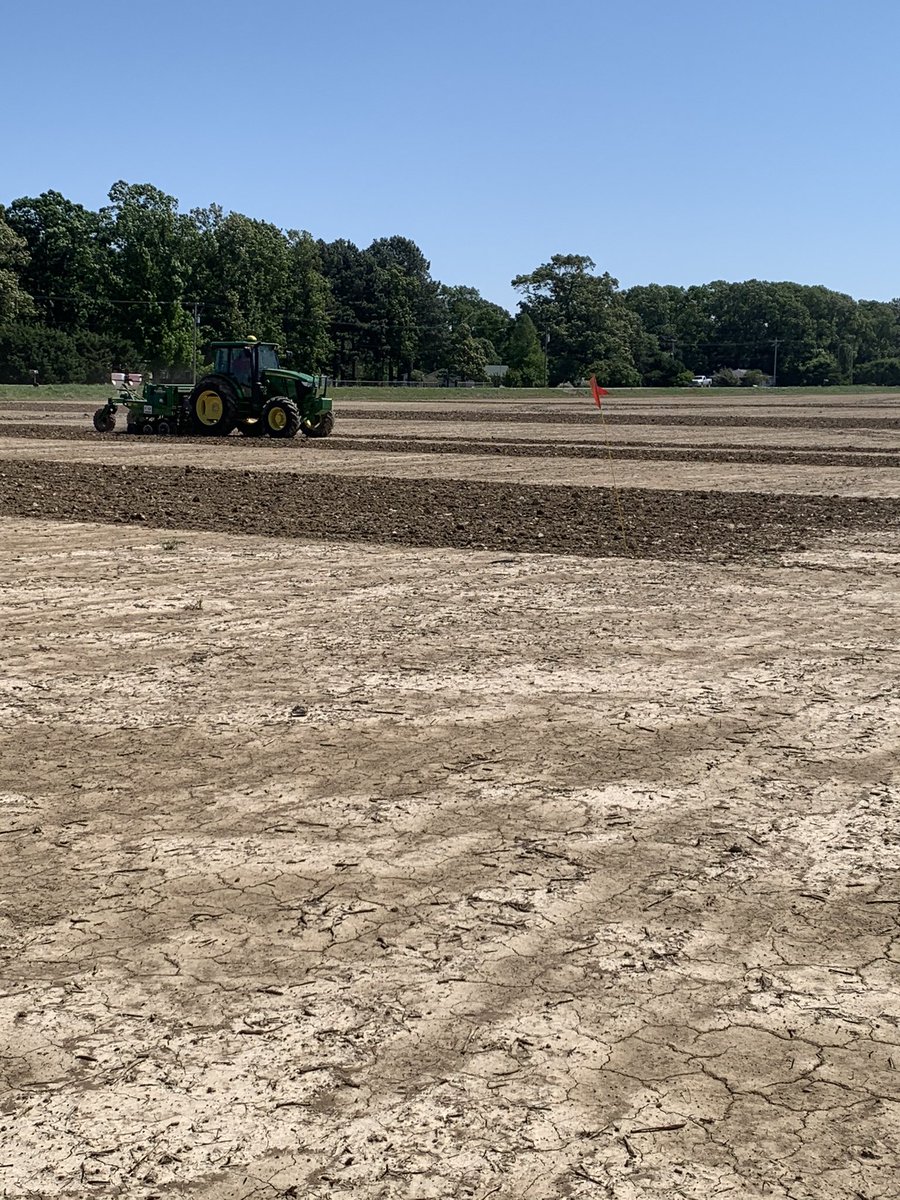 MaxCoffin's tweet photo. Glad I’m #StillOnTheJob getting rice planted this morning. #plant2020 #rice @ARKeithPerkins https://t.co/uXAHSxdiq2