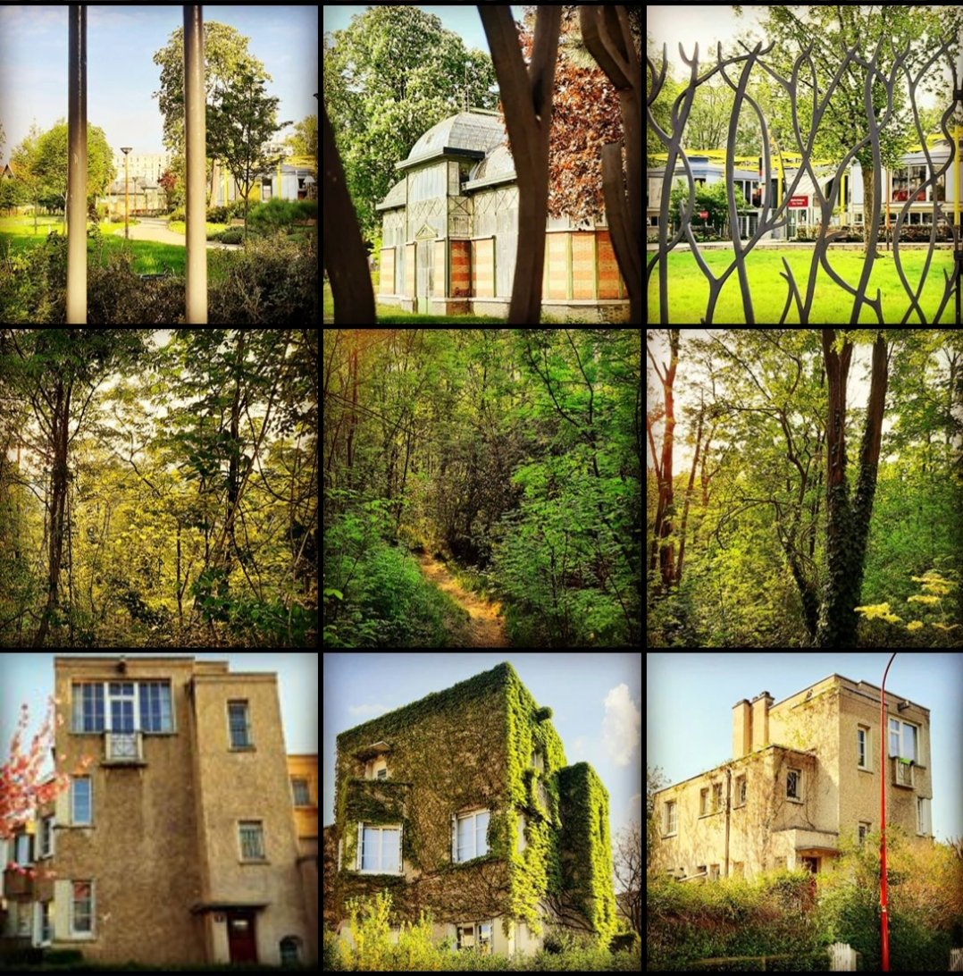 Louis-Pierre Samain tweet media