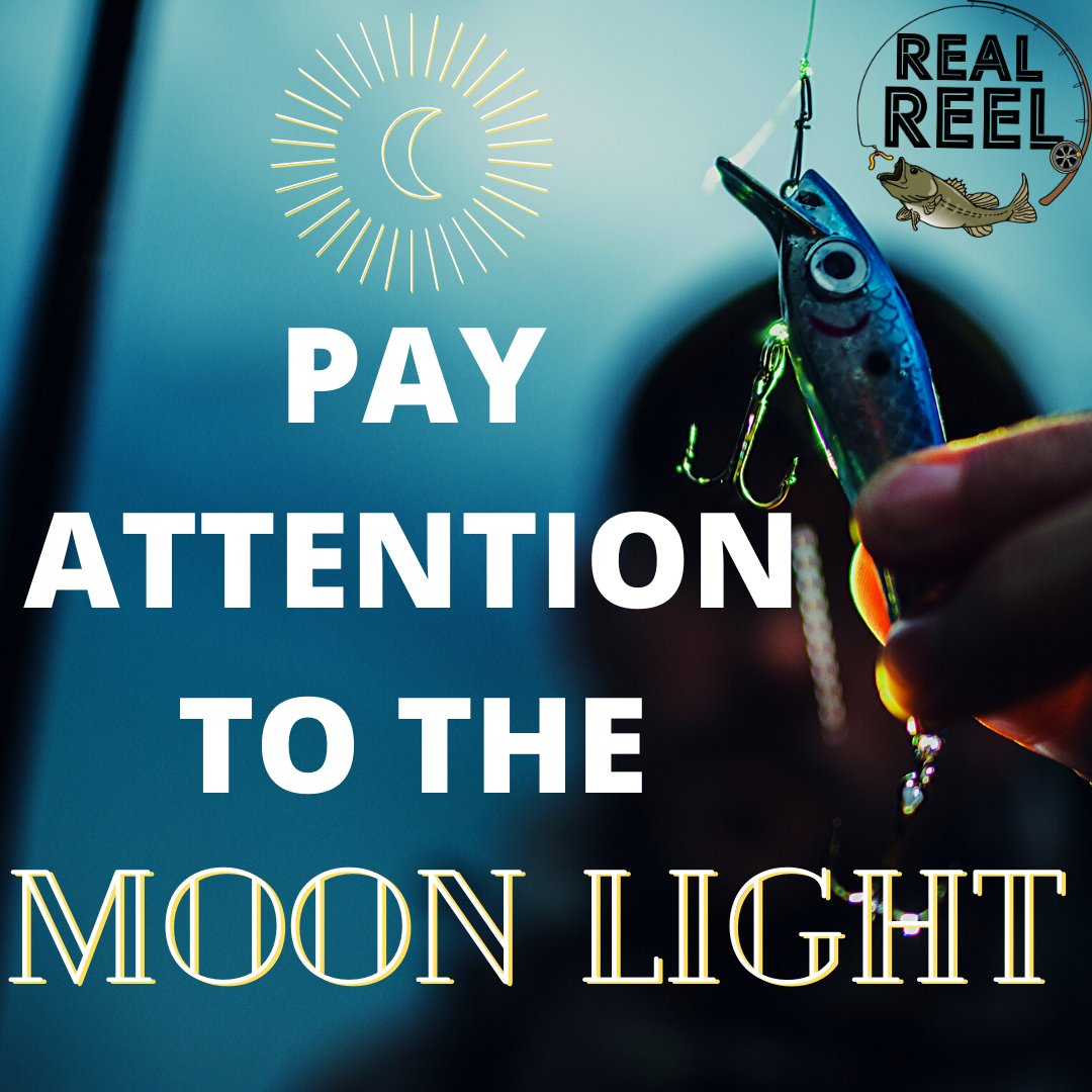 RealReelCo's tweet photo. If you are night fishing and there is little to no moonlight use a darker solid color lure for a traceable silhouette. If the moonlight is glowing then lures with bolder colors will stand out! #FishTips #FishingTips #Bassfishingtips https://t.co/I2m17lxUCp