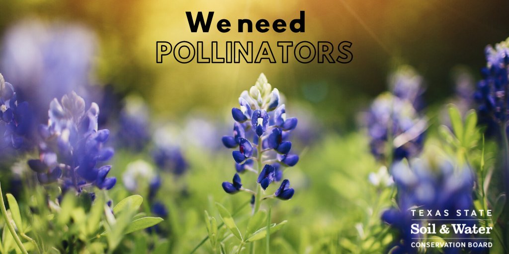 Texas A&M Natural Resources Institute tweet media