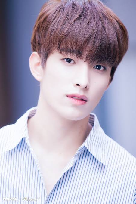 [D-23 Favourite Vocal Unit Member](We are talking about favourite right? So I'll exclude my bias because... well I'm being bias on Jeonghan)DK/Dokyeom/Lee SeokminI love his visual, singing, and most of all his personality.He's the sun of SVT @pledis_17  #SEVENTEEN  #세븐틴