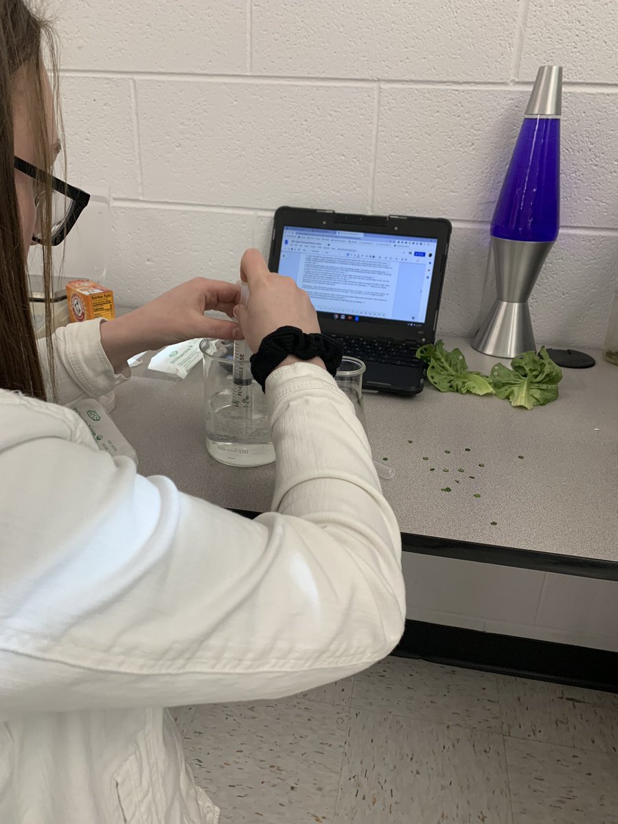 Reminiscing on good times from this school year. Physical Science students measuring distance and displacement with mealworms 🐛, engineering students making compound machines🏗, DC Bio students conducting a photosynthesis experiment with leaf discs 🌱#NHS