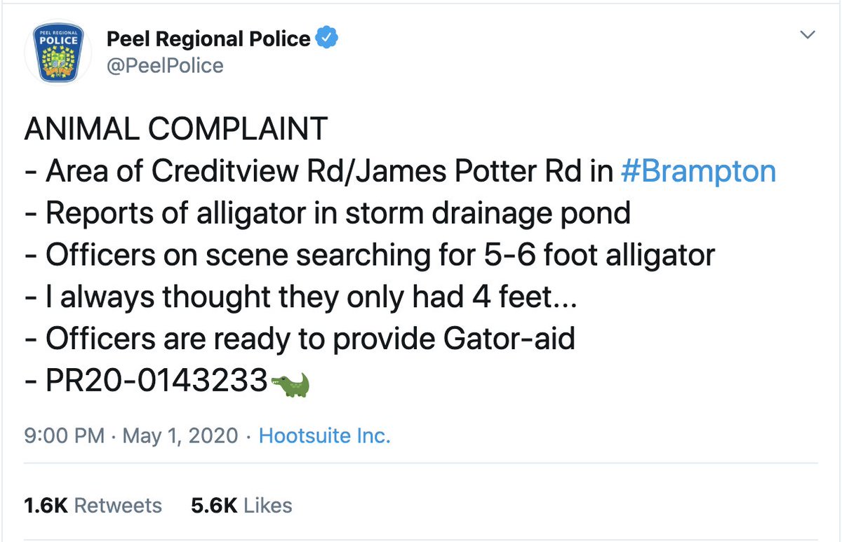 Connor Ewing tweet media