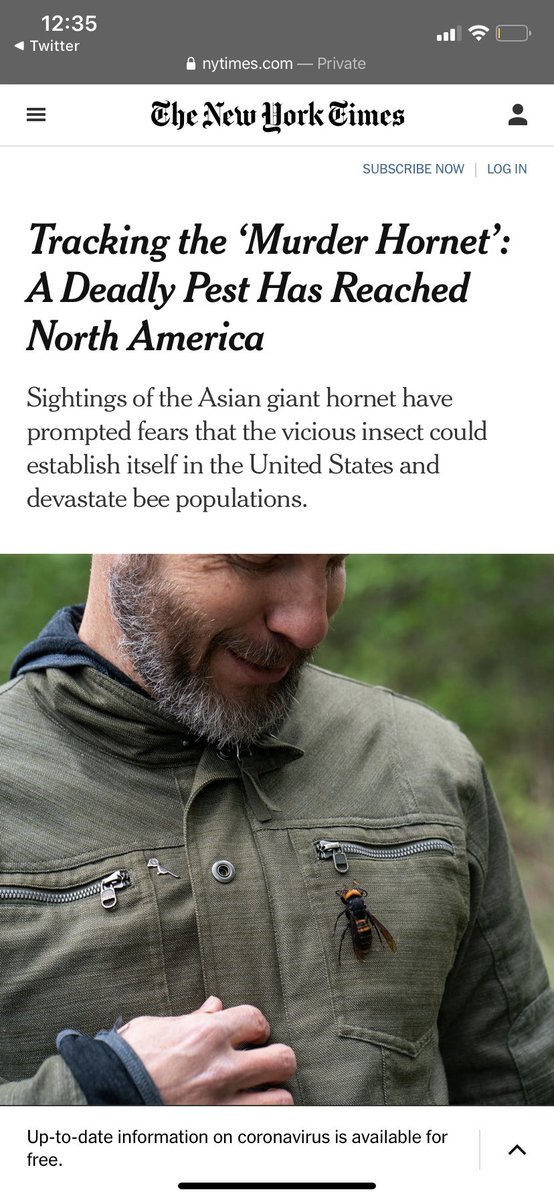 honestly why not murder hornets at this point
