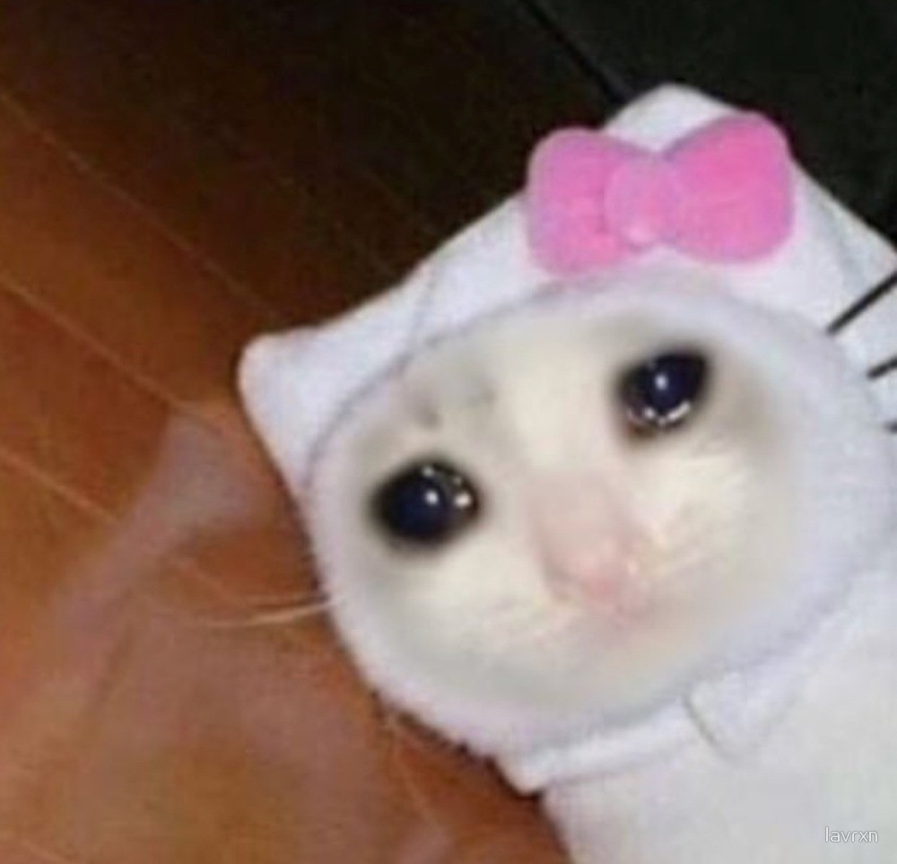 ♡;; i want to commission someone but I'm so shy to even speak up