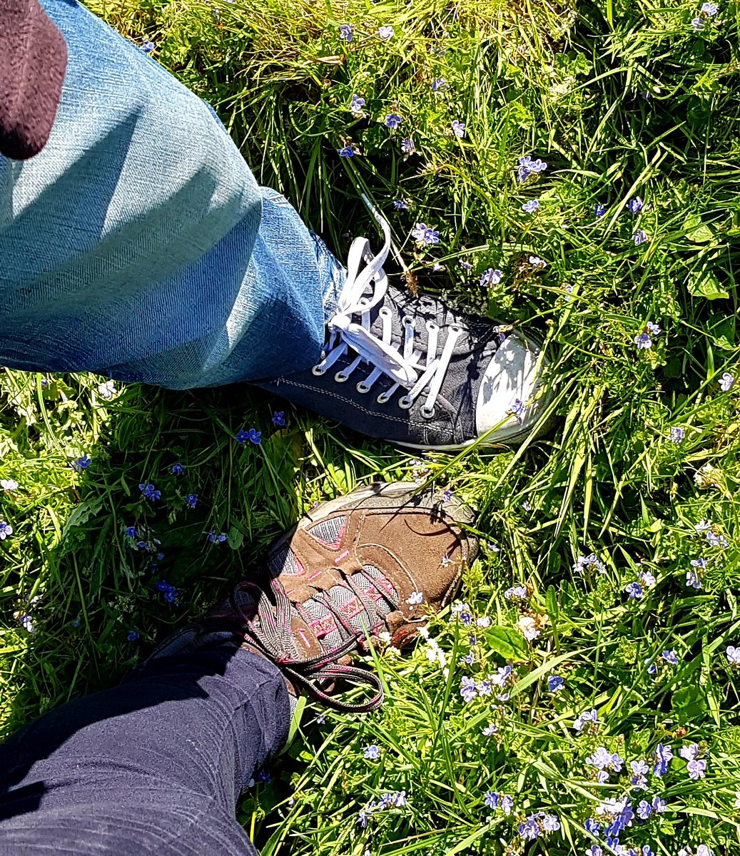 queetko's tweet photo. Happy National Walking month!ππΆββοΈπΆββοΈπππ³ #walkingismyexercise #walkthismay #walktherightway @HantsCS https://t.co/P49YpzTWsw