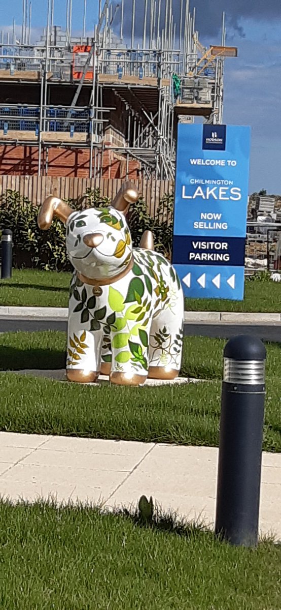 <a href="/AshfordSnowdogs/">Ashford Snowdogs</a> look who I spotted in Ashford on route shopping 😊