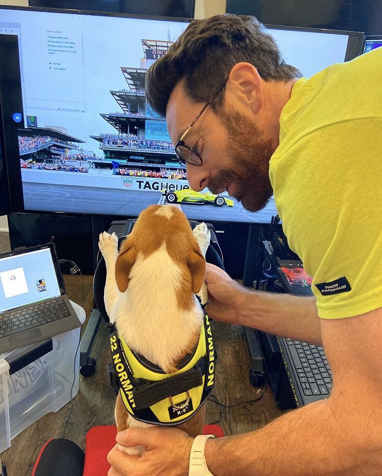 simonpagenaud's tweet photo. I think @NormanPagenaud has more patience behind the wheel than some of my fellow #Indycar @iRacing competitors! 😂 🐶 #racing @JuliusK9 https://t.co/gTltic2wrX