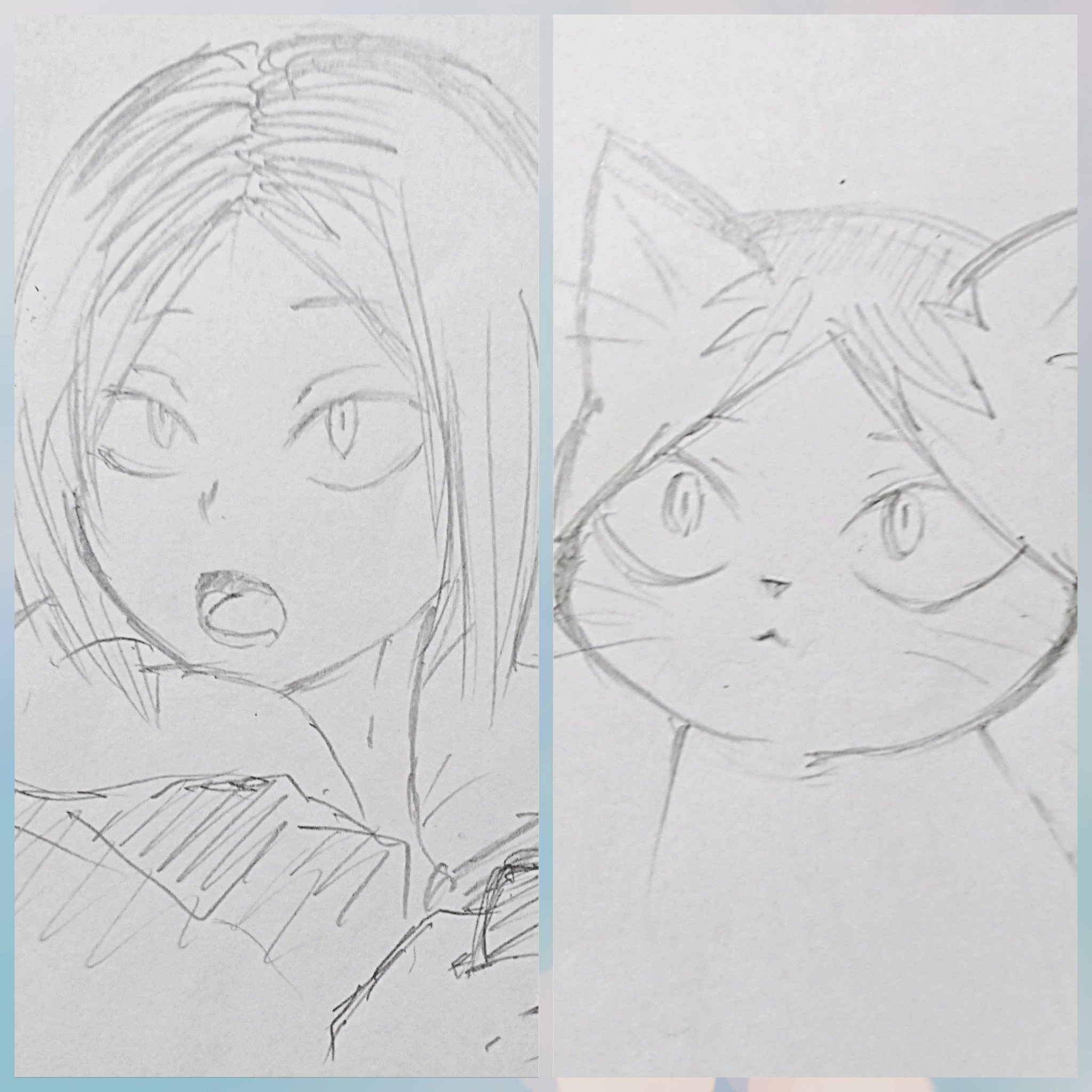 マイ おきゃめ かみこす両日 この顔の割合多めの研磨ネコ Fwf イラスト ハイキュー 孤爪研磨 研磨ネコ T Co Bp69dra07u Twitter