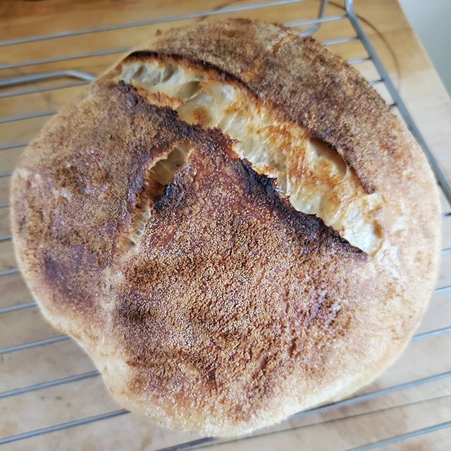 ayouens's tweet image. 9 weeks of practice and I've almost figured out the correct length of time and the correct oven temperature. Long live the sourdough bole!
#covid19baking #covidsourdough #cbcbakingshow

📸 instagram.com/p/B_sVMd7Dmv8/ via tweet.photo
