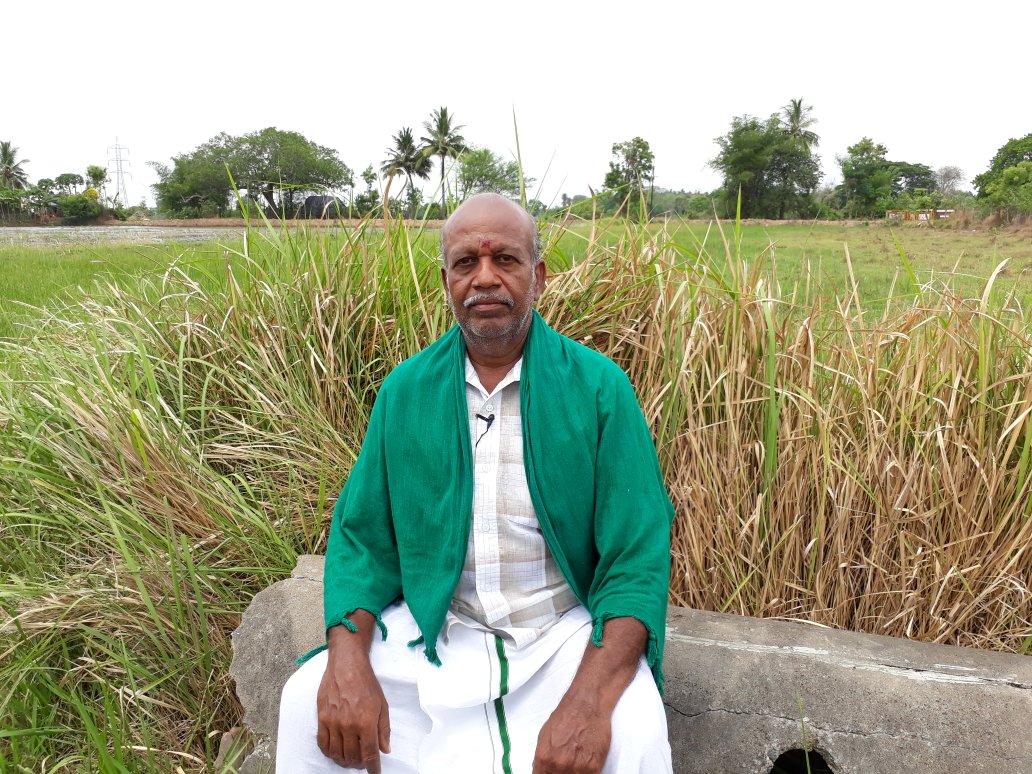 erasaravanan's tweet photo. இவர் ஆலங்குடி பெருமாள். கால் கிலோ நெல்லை பாகி 4 டன் (4000 கிலோ) நெல்லை அறுவடை செய்து காட்டிய சாதனை விவசாயி. விழா எடுத்துக் கொண்டாடப்பட வேண்டியவரை திரும்பிப் பார்க்க  ஆள் இல்லை. ஆனாலும் நெல் வேளாண்மையில் புதுப்புது நுட்பங்களை தொடர்ந்து கண்டுபிடித்து வருகிறார்.
#MyClick https://t.co/l6NqzUnpVn