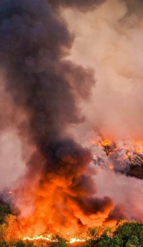WANDYRAMIREZV's tweet photo. Se investiga la alta probabilidad de que manos criminales del #PRM incendiaran #DUQUESA para culpar al gobierno de las molestias y #SACAR el tema de su responsabilidad ante la propagación del #COVID19 así como #LaPERDIDA de un 12% en las encuestas de #ADIBINADER 

#PRMunPeligro https://t.co/scGyzrCIrZ