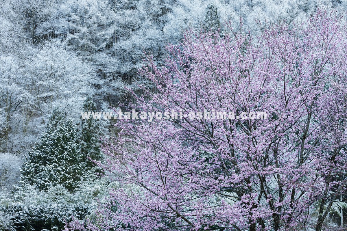 ウェブサイトを更新
https://t.co/ODMUINXGnd
#山岳写真 #山岳風景 #桜
#コロナが収束したら撮りに行こう #自粛中 https://t.co/Nr1Z1tCVno