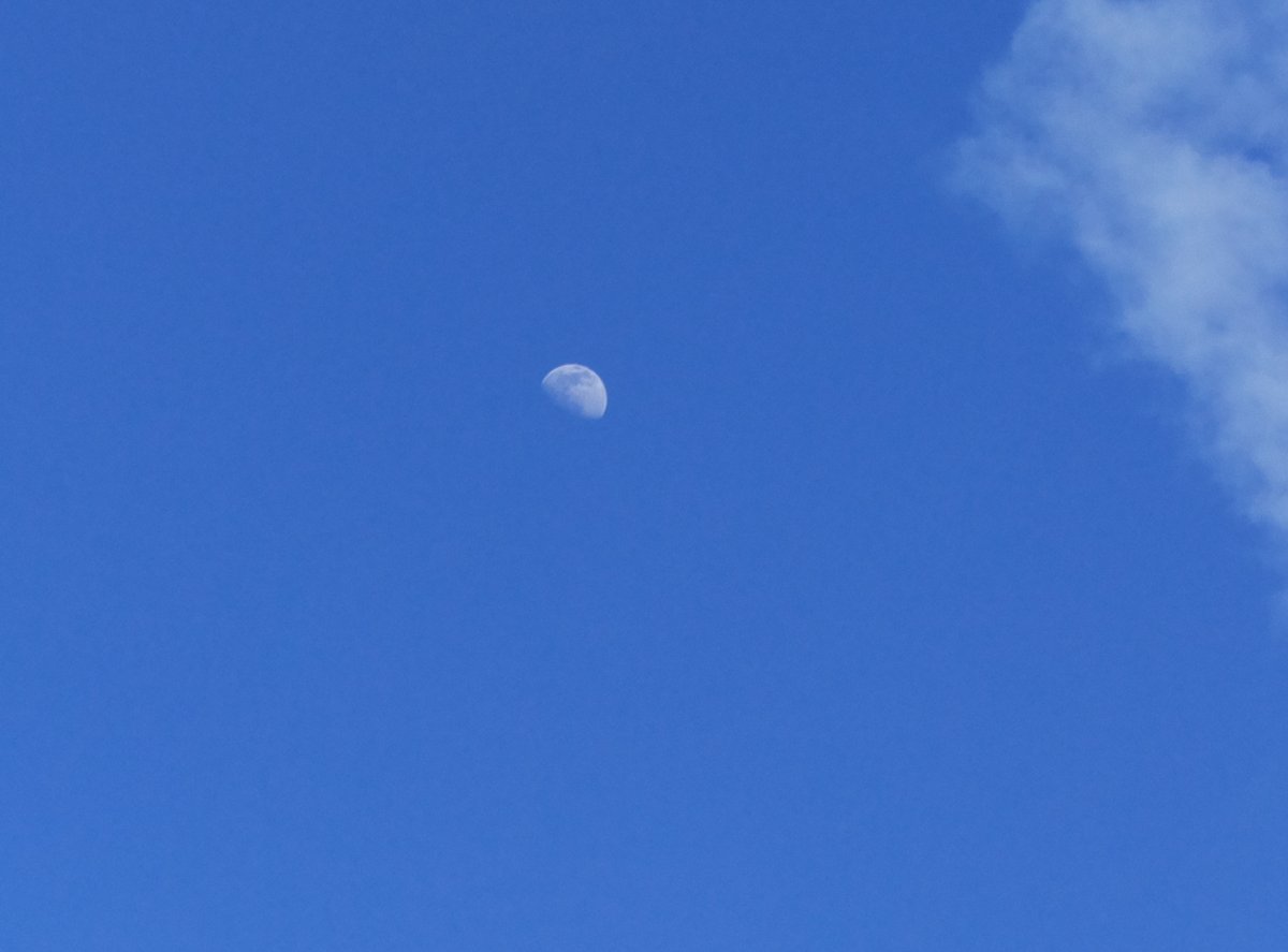 rdhayler's tweet image. Moonrise #ShotOnRaspberryPi