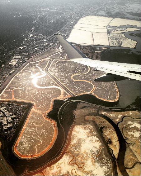 whatjadedidnext's tweet image. Around the States in 52 dates whatjadedidnext.com/2020/05/01/aro…