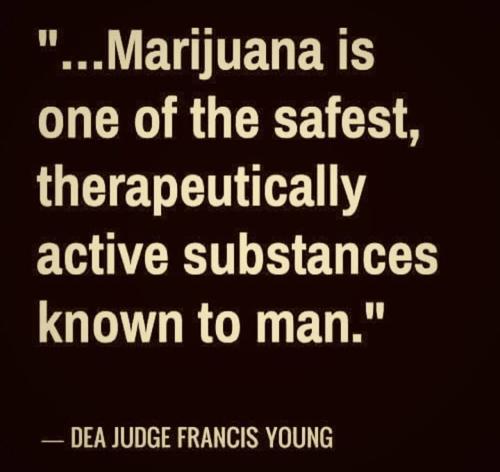 StormyVNV's tweet photo. @smokinscrews @TheKannabisBlog @TheHandyPucker @JacobWazoo @Fact @Drake @CarverJohns @crazybatmanfan @popsablaze #VeteransCannabisProject #Pharma knows Do YOU #Learn #Cannabis #CannabisSavesLives #PillsKill #OpoidCrisis #OnePlant #OnePint #CannabisOil Dec. 3 1913 https://t.co/eNF8gYt43M