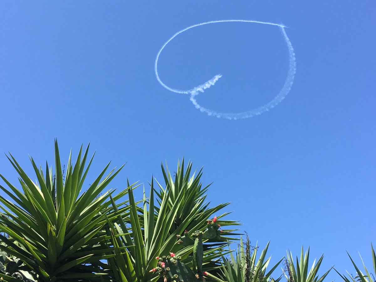 skywriter in LA reminding us our asses are getting huge during quarantine