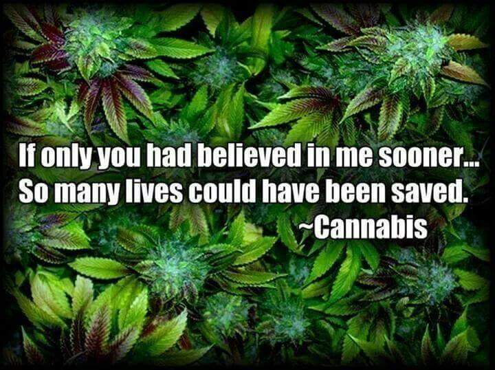 StormyVNV's tweet photo. @smokinscrews @TheKannabisBlog @TheHandyPucker @JacobWazoo @Fact @Drake @CarverJohns @crazybatmanfan @popsablaze #VeteransCannabisProject #Pharma knows Do YOU #Learn #Cannabis #CannabisSavesLives #PillsKill #OpoidCrisis #OnePlant #OnePint #CannabisOil Dec. 3 1913 https://t.co/eNF8gYt43M