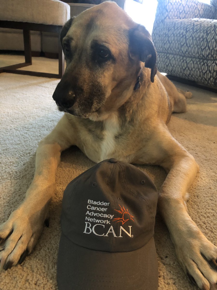 Mary Weinstein Dunn tweet media